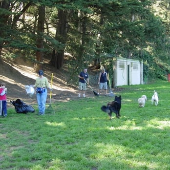 Upper Douglass Dog Park - park clean-up day - Dog Parks Near Me - San Francisco, California Upper Douglass Dog Park - park clean-up day - Dog Parks Near Me - San Francisco, California