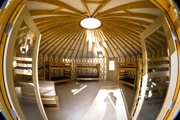 Camp Wawona by null