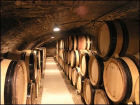 University Wines by null