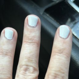 I think I could have done a better job myself.
