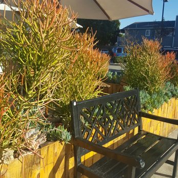Black Elephant Coffee - Burbank - Coffee & Tea Near Me - Burbank, California