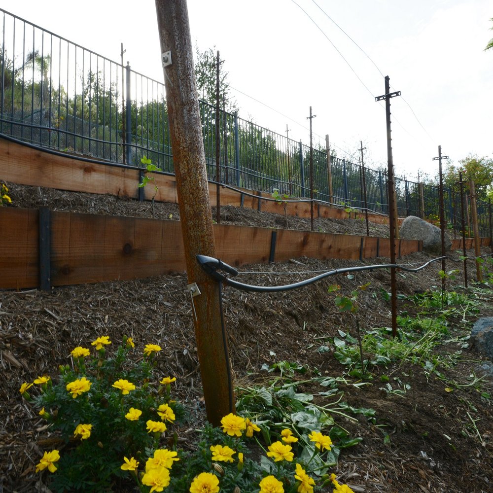 Smart Landscape - Landscaping Near Me - San Diego, California Smart Landscape - Landscaping Near Me - San Diego, California