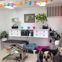 Barks & Bubbles Grooming Salon - First grooming station