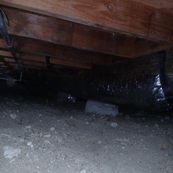 Got Rats Rodent Proofing - Pest Control Near Me Got Rats Rodent Proofing - Pest Control Near Me