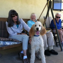 The Yellow Rose Inn - Jack the Wonder Dog and his BFF, Rita.