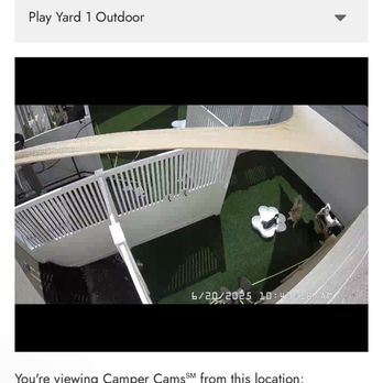 Camp Bow Wow - Pet Boarding Near Me - Virginia Beach, Virginia Camp Bow Wow - Pet Boarding Near Me - Virginia Beach, Virginia