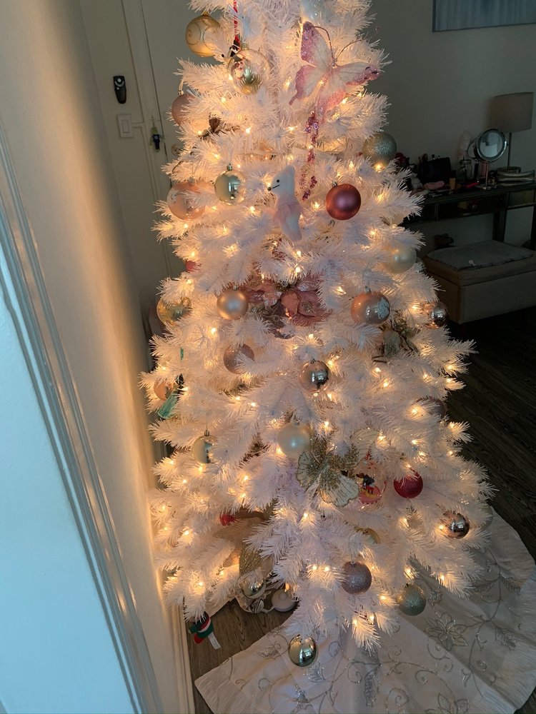 DECORA Updated May 2024 13 Photos 1415 E Colorado St, Glendale