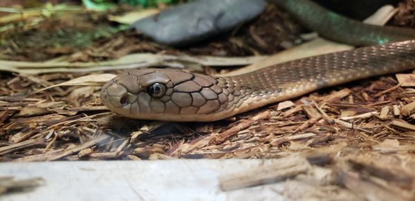 Milwaukee County Zoo by null