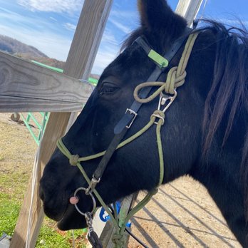 Indian Summer Guide Service - Horseback Riding Near Me Indian Summer Guide Service - Horseback Riding Near Me