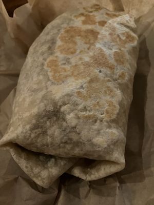 Garden Monsters by null