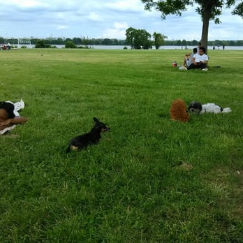 Gravelly Point - Pooches having a great time while people relax. - Parks Near Me - Arlington, Virginia