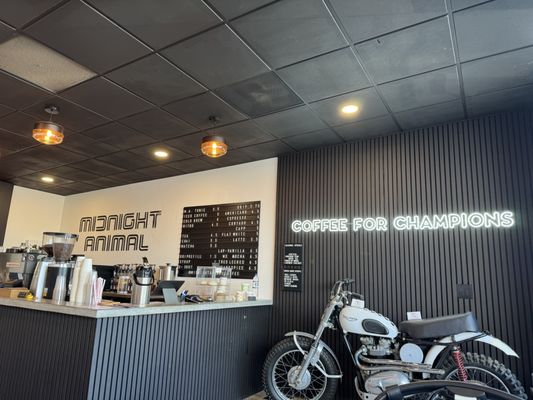 Midnight Animal Coffee by null