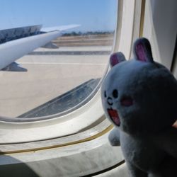 United Airlines - Arrived in Los Angeles!
