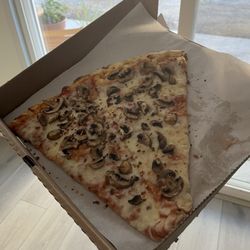 Mushroom pizza