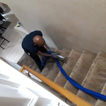 Big Dog Carpet Cleaning - Carpet Cleaning Near Me Big Dog Carpet Cleaning - Carpet Cleaning Near Me