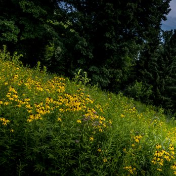 Holliday Park - Parks Near Me - Indianapolis, Indiana