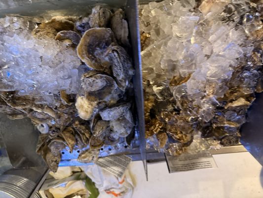G&B Oyster Bar by null