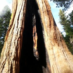 Lover's Leap Campground