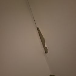 Sleep Inn Henderson-Evansville South - All over the rooms pealing walls