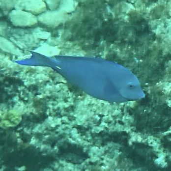 Hotel B - Snorkeling - Hotels Near Me - Cozumel, ROO Hotel B - Snorkeling - Hotels Near Me - Cozumel, ROO
