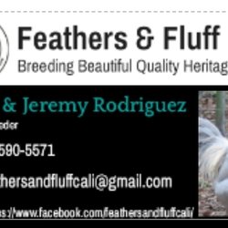 Feathers and Fluff Farm