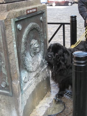 Église Sainte Catherine by null