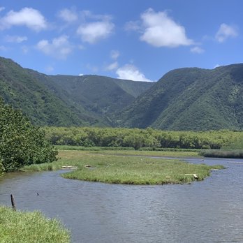 Pololu Valley Lookout - Valley behind the beach - Hiking Near Me - Kapaau, Hawaii Pololu Valley Lookout - Valley behind the beach - Hiking Near Me - Kapaau, Hawaii