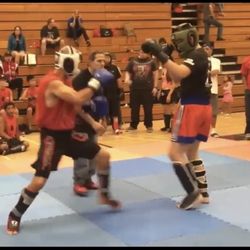Mixed Combative Systems