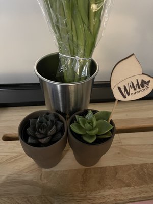 Trader Joe's by null