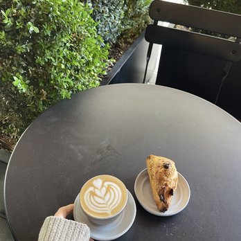 Little Owl Coffee - Oat Milk Cappuccino and Scone - Coffee & Tea Near Me - Denver, Colorado