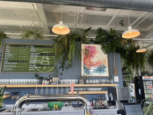 Austin Street Brewery by null