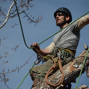 Eco Tree Service - Tree Services Near Me - Colorado Springs, Colorado Eco Tree Service - Tree Services Near Me - Colorado Springs, Colorado