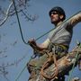 Photo of Eco Tree Service