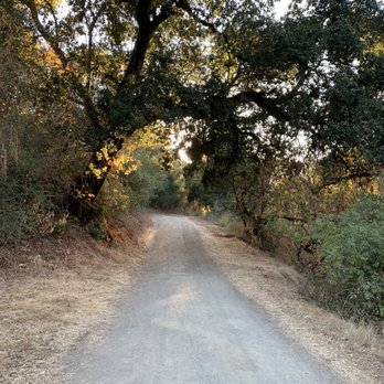 Tony Look Trail - Awesome tree covered trail - Hiking Near Me - Cupertino, California