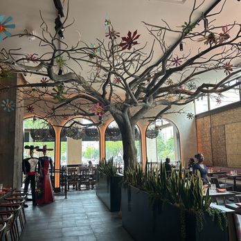 Mi Vida - Mexican Near Me - Washington, DC, District of Columbia Mi Vida - Mexican Near Me - Washington, DC, District of Columbia