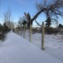 Photo of Mumma Fencing
