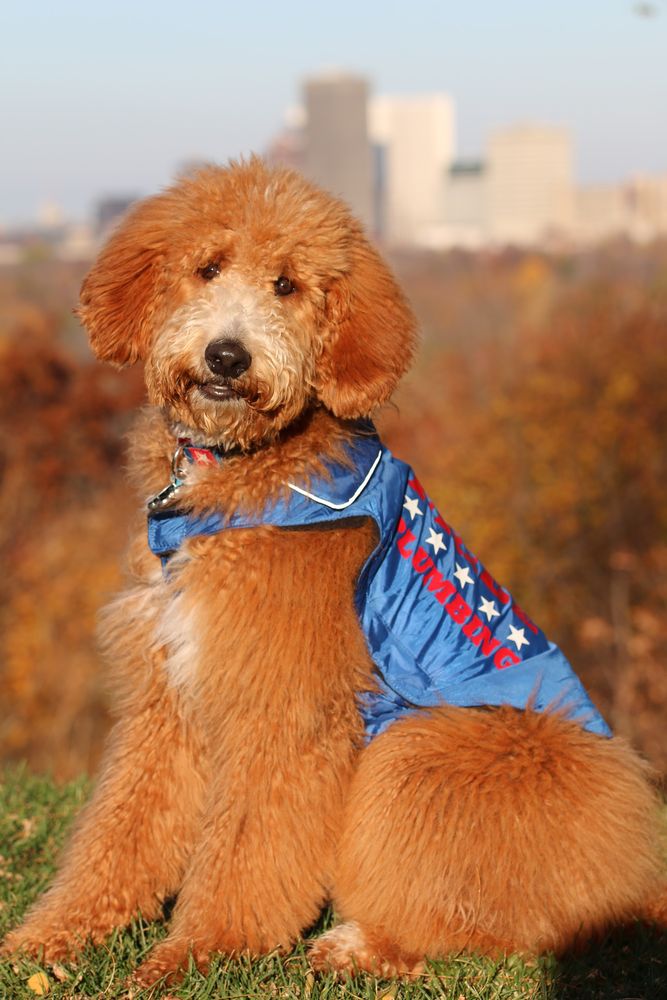 Slide of Pride Plumbing Services