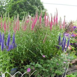 Green Thumb Garden Centre - Photo