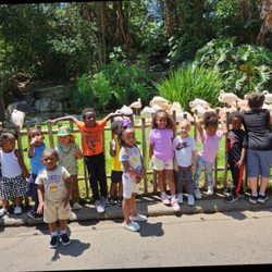 Fun at the LA Zoo