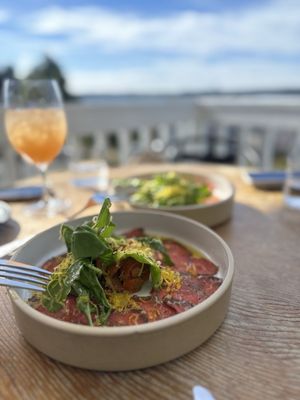 Oystercatcher by null