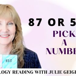 Heaven Sent Healing - 87 or 555? Pick a number! Then head over to our blog for the message https://heavensenthealing.us/blog