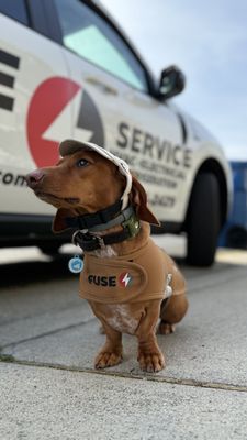 Fuse Service Logo