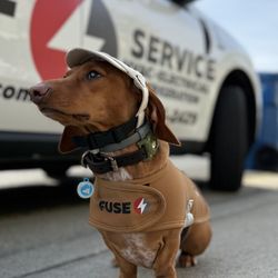Fuse Service - Meet Millie, our HVAC propup! At FUSE HVAC & Electrical, we provide expert heating, cooling, and electrical services. HVAC quote, heat pump