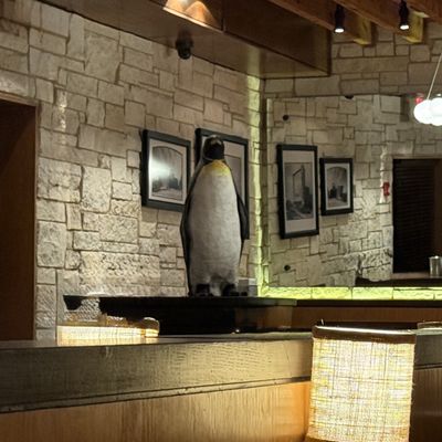 Charleston's Restaurant by null