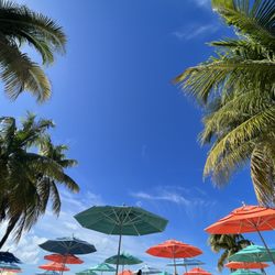 Travel Lark Travels - Blue and orange umbrellas at Disneys Castaway Cay
