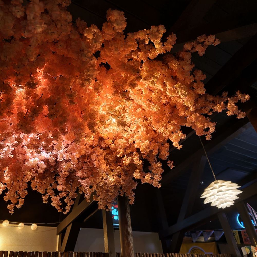 Sushiya - Sushi Bars Near Me - San Dimas, California Sushiya - Sushi Bars Near Me - San Dimas, California