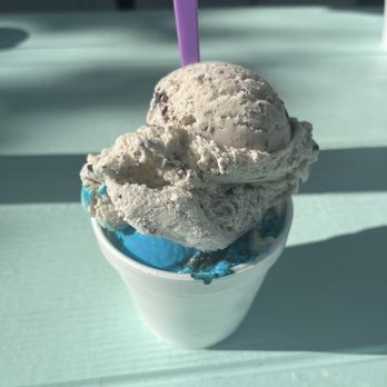 Dairy Joy - Medium cup of ice cream (cookies & cream + cookie monster) - Ice Cream & Frozen Yogurt Near Me - Tampa, Florida