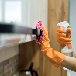 Insta-Dazzle Cleaning Agency
