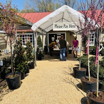 Ivy Nursery - Pay Area Outside - Nurseries & Gardening Near Me - Charlottesville, Virginia