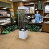 Museum of North Texas History gift card